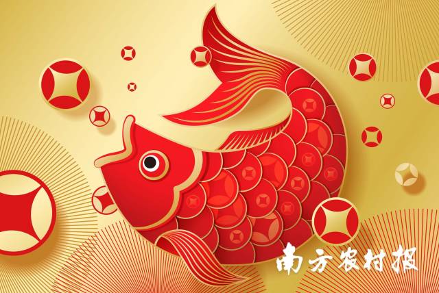南方農(nóng)村報(bào) 葉香玲 拍攝