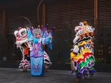 精彩鹤山，多彩非遗｜鹤山狮艺：灵动飘逸，风行世界