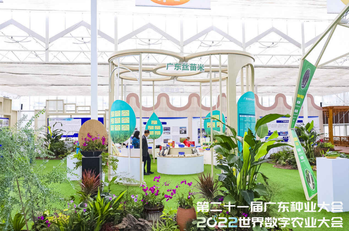 新增13個(gè),！第四批廣東絲苗米認(rèn)定產(chǎn)品權(quán)威發(fā)布