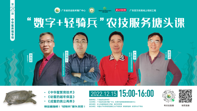 中华鳖如何科学繁育？幼鳖怎样越冬？成鳖如何挑公？这堂轻骑兵塘头课给出答案