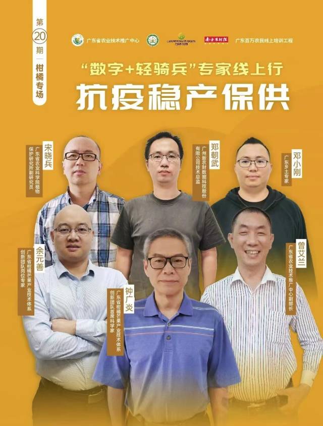 杀木虱、防裂果、膨果保鲜，柑橘上市关键期这么管