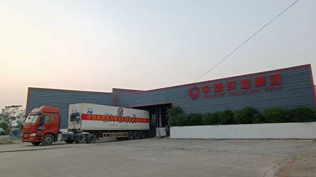 12月10日，廉江红橙首发加拿大。