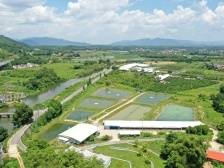 1890万元！肇庆四会首笔卫生健康领域设备更新改造贷款落地