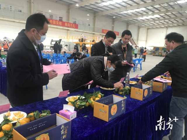 受访者供图