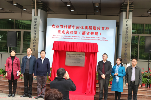 打造水稻产业科技创新高地！华南优质稻遗传育种重点实验室揭牌成立