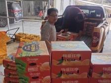 化州石湾街道：消费帮扶“组合拳”助红江橙“走出去”