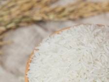 丝苗香自何处来，广东丝苗米这里买！