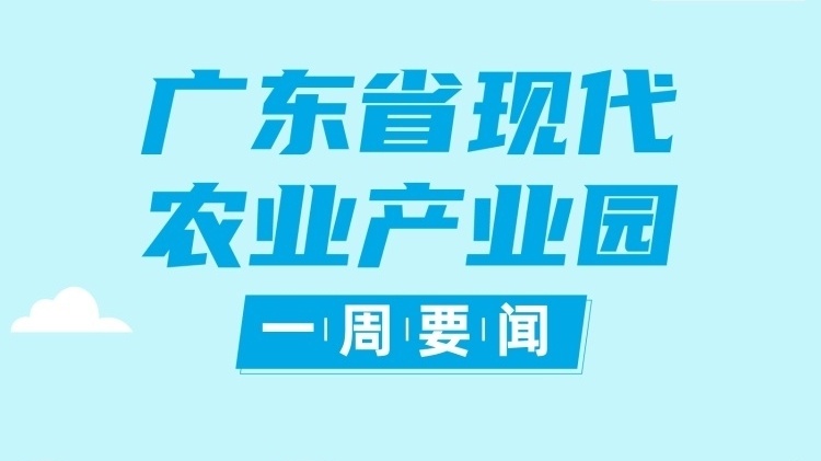 广东：以现代农业产业园为支点，打造农产品全产业链发展模式|广东现代农业产业园一周要闻㊴