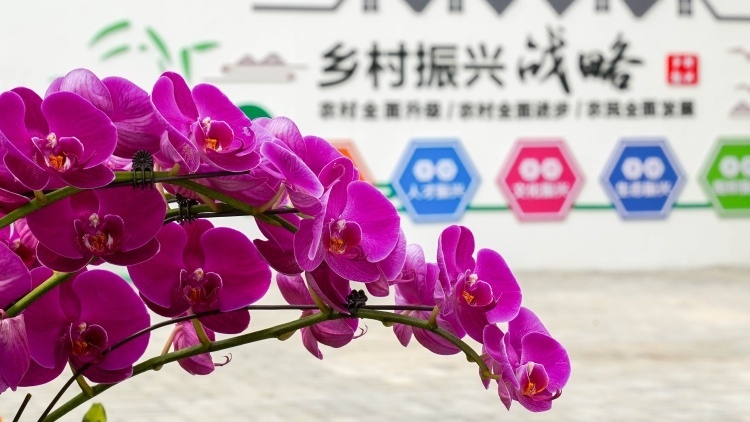 剧透！第二届广州国际（流溪）花卉博览会要来啦，亮点有这些...