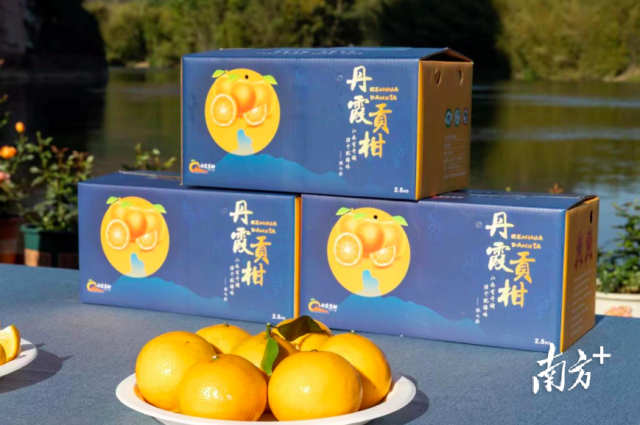 受访者供图
