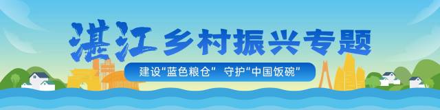 南方农村报制图