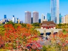 做好“城市”文章，擦亮惠城桥西幸福底色