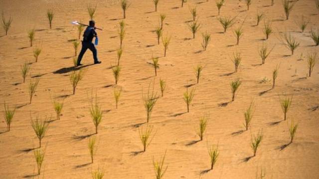 让公益更有力量！“益企同行”公益活动正式启动
