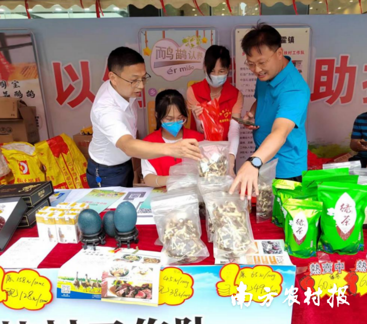 调结构、创品牌！茂名电白那霍镇以党建引领+产业发展助力乡村振兴
