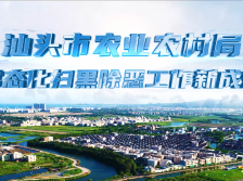 视频展播 | 汕头市农业农村局：聚焦行业治乱行动，助力乡村振兴焕发新颜