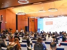 南方观察│大湾区，大南沙