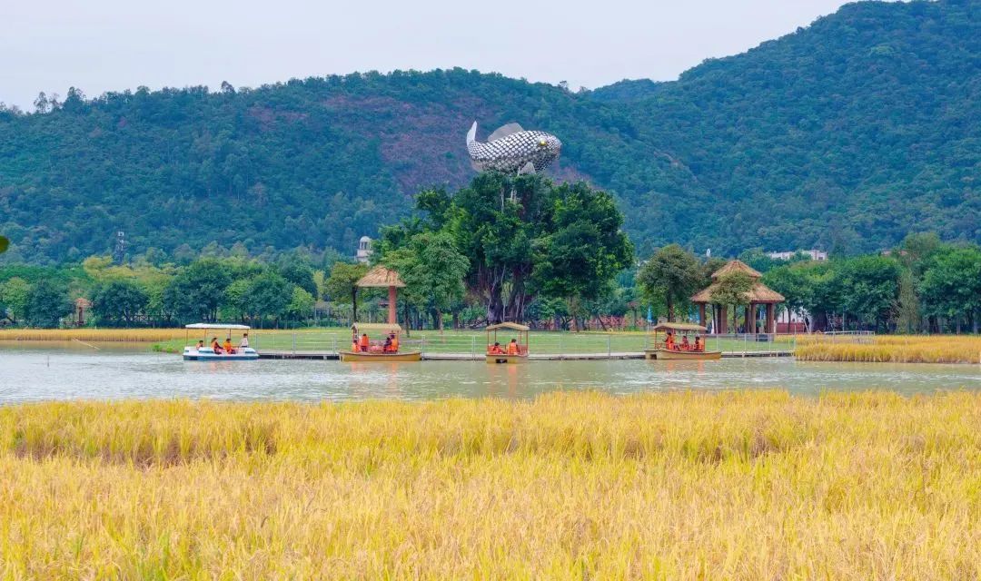 广东南海大地艺术节艺术分区：渔耕粤韵。（李均良摄）