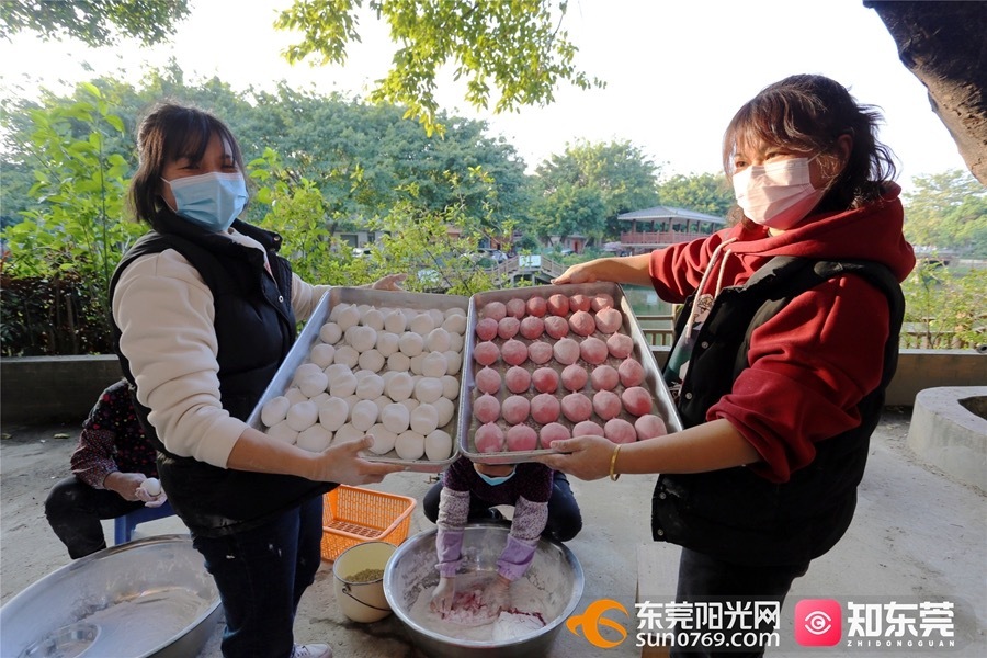 ▲冬团可做成紫红、白色两种颜色。 ▲冬团可做成紫红、白色两种颜色。