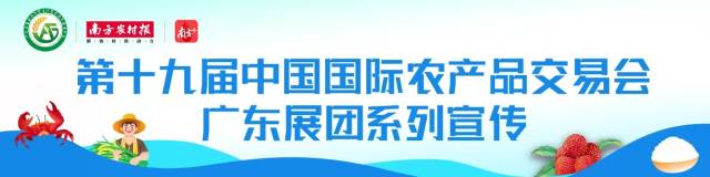 回到故乡再向世界出发！“广东军创”农产品亮相农交会