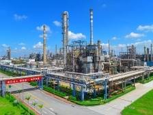 茂名市委书记、市人大常委会主任庄悦群：坚持制造业当家，依靠产业走向未来