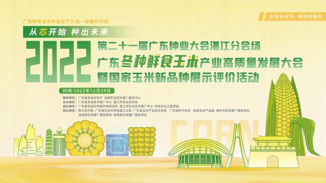 立足“三品一标”！广东力促冬种鲜食玉米量质齐升