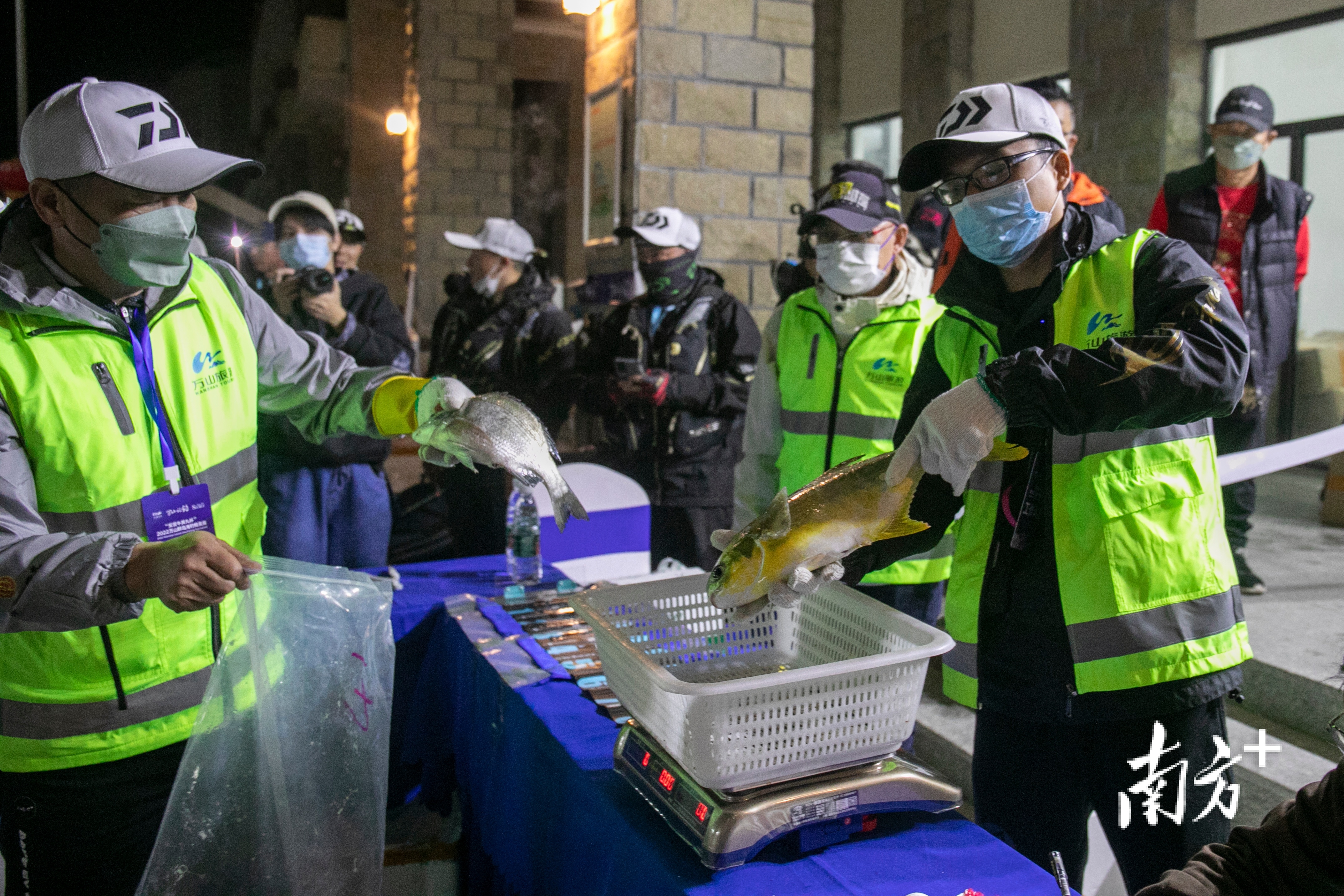 渔获称重现场,工作人员向众人展示渔获。 渔获称重现场,工作人员向众人展示渔获。