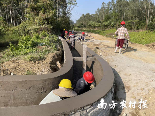 電白區(qū)小良鎮(zhèn)學堂村高標準農(nóng)田項目施工現(xiàn)場