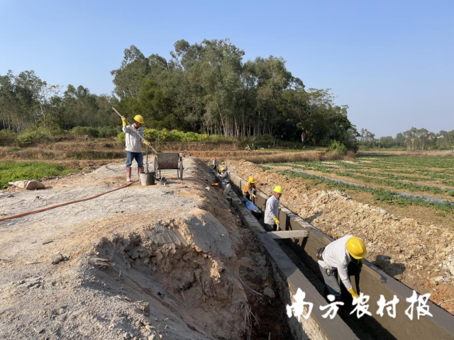 電白區(qū)小良鎮(zhèn)嶺圩村高標準農(nóng)田項目施工現(xiàn)場