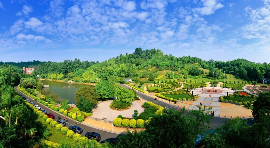 错过等一年三水森林公园的水杉红了快来打卡冬日美景