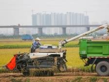 “三农”专家为广东落实中央农村工作会议部署建言献策：全面推进乡村振兴，加快建设农业强国