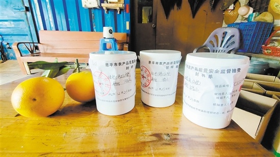 制样后的锦江红橙被装进罐子，将送到专业检测机构检验。