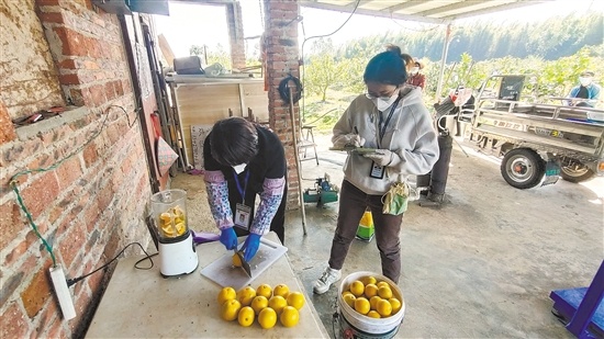 冯家兴（右）作为农产品质量安全监管员，在种植场取样、制样。