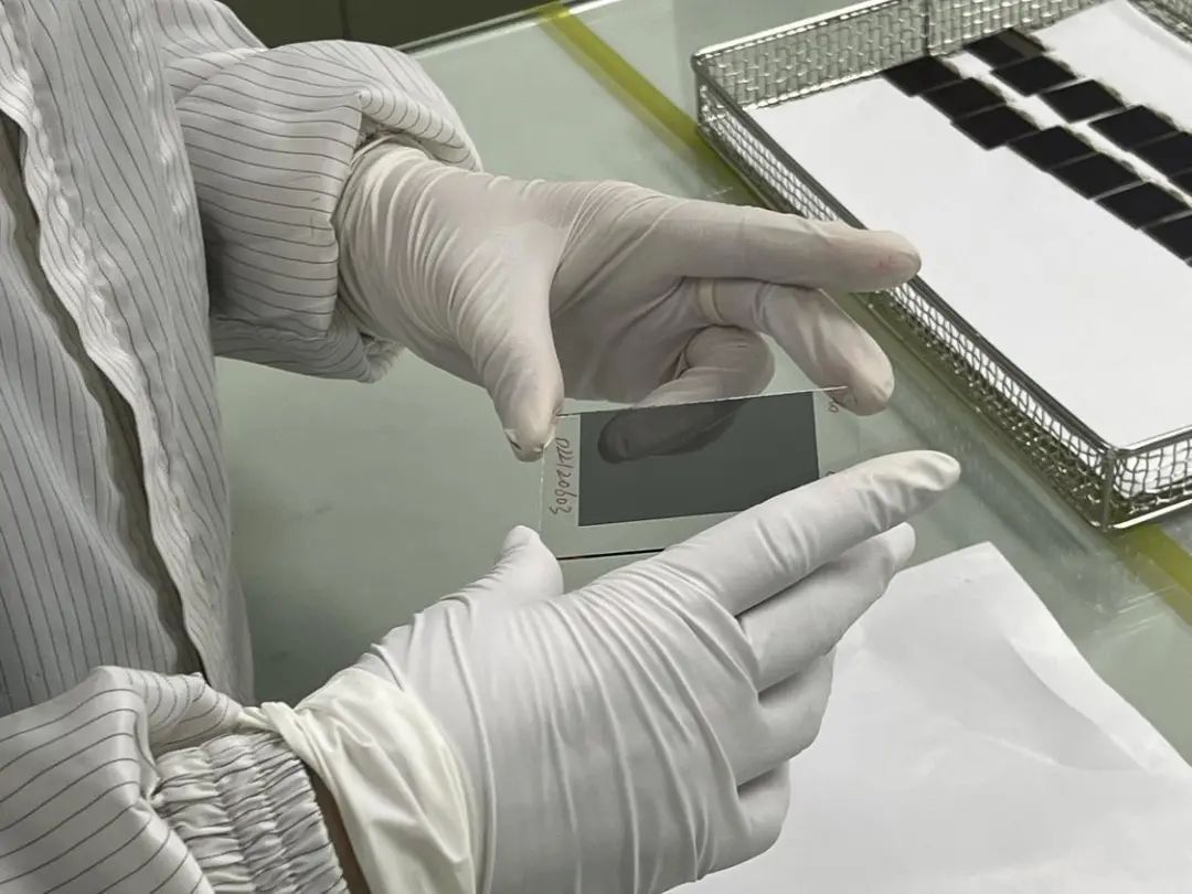 纬达光电的“拳头产品”高耐久染料系偏光片。图/佛山日报记者黄妙哲摄