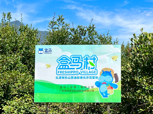 长在石头上的有机山茶油“盒马村”