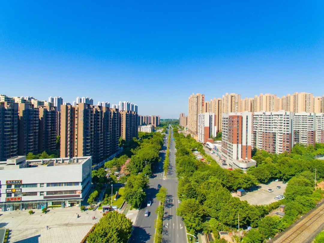 北江新区。佛山新闻网林蔚坚摄