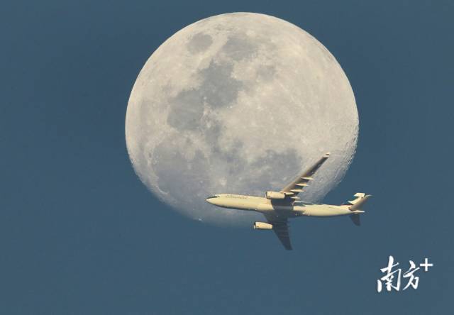 超级月亮出现前,一架国泰航空的飞机飞过深圳上空,从即将升起的月亮前