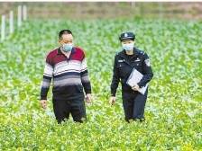 省公安厅党委副书记、常务副厅长杨日华： 为广东现代化建设贡献公安力量