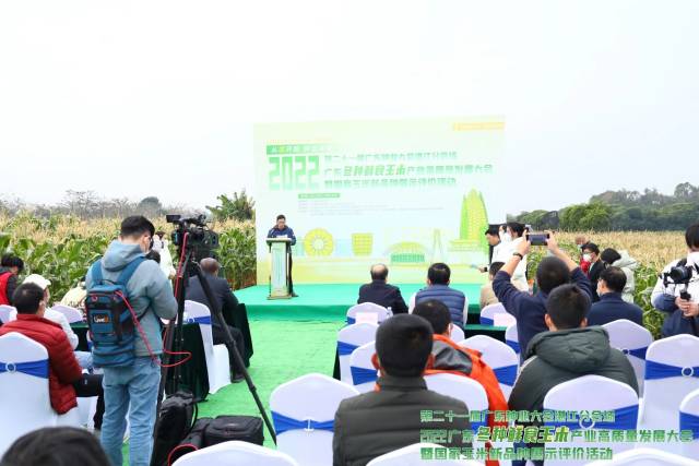 2022广东冬种鲜食玉米产业高质量发展大会暨国家玉米新品种展示评价活动现场