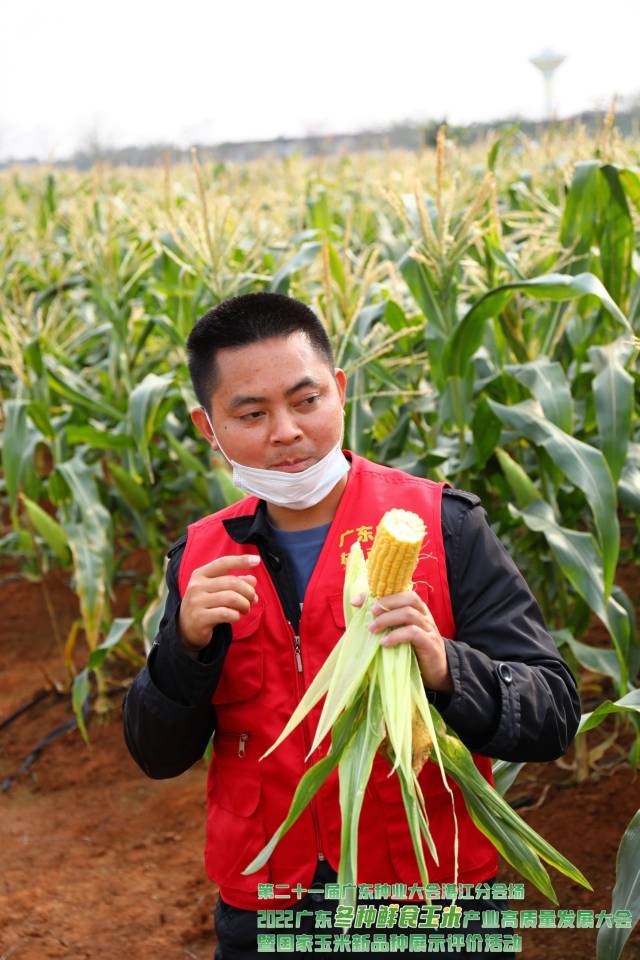 杨兴农业集团有限公司副总经理何光胜