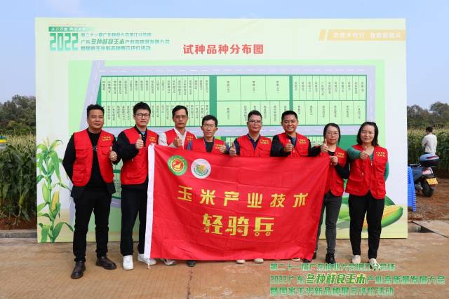 10个品种获得重点推介！粤西冬种鲜食玉米优秀品种评选结果出炉