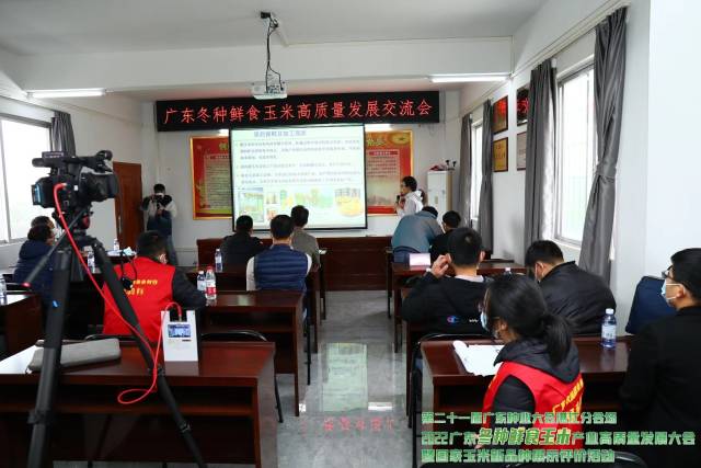 广东冬种鲜食玉米产业室内报告与研讨会议
