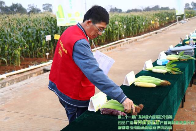 广东省农科院作物所研究员李高科