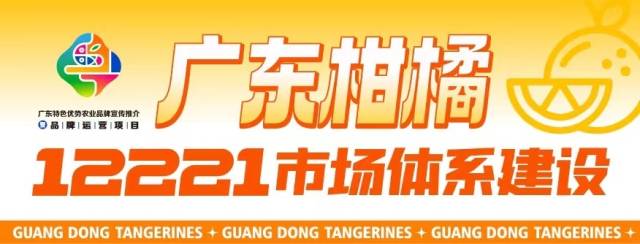 广东柑橘行情周报⑥