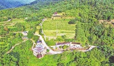 天露山南药植物科普基地