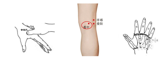 通訊員 二醫(yī) 供圖