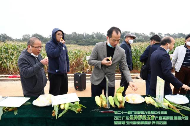 活动现场进行品鉴与观摩