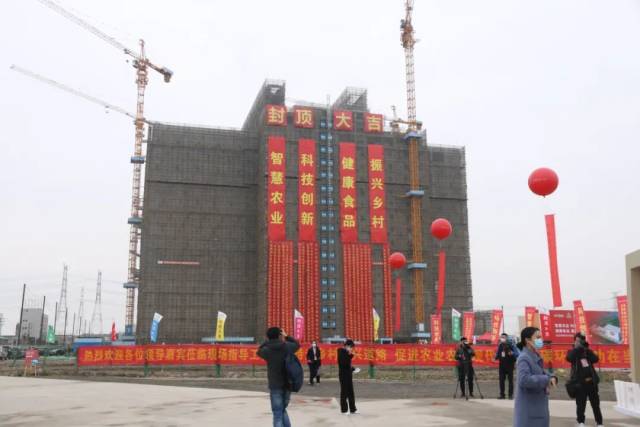 17层生猪养殖高楼