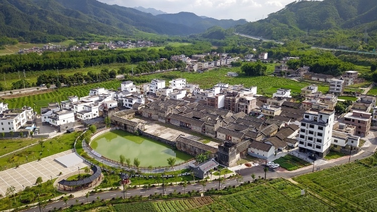 以“带”促振兴，绘就新丰农村发展新“画卷”