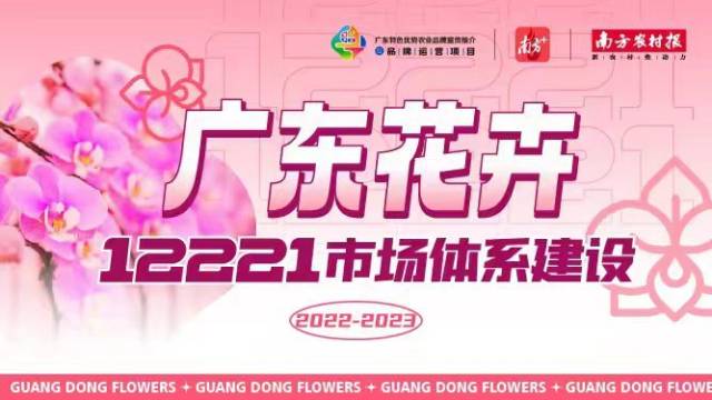 行花街 赏花景 买年花丨广东的“年”是从花市开始的