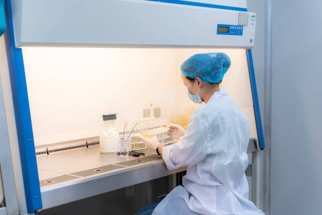 南方农村报 杨鹏 拍摄